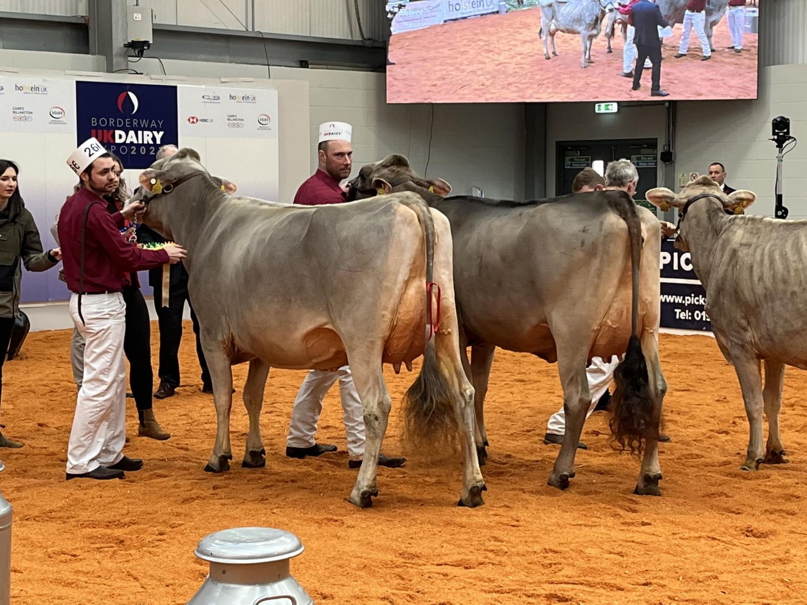 Kedar Brown Swiss unbeatable at the UK Dairy Expo 2023
